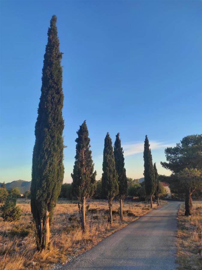 Sunset Chaser - Rural Dalmatian Mountain View - Makarska, Brela Šestanovac Exterior foto